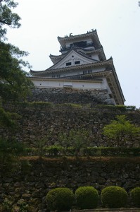 IMGP9990