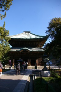 IMGP0979