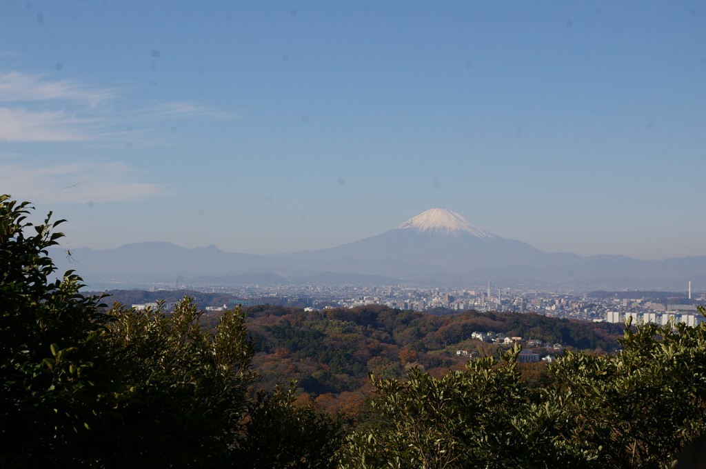 IMGP0987